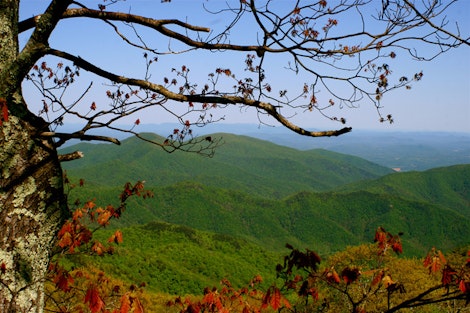 From the Blue Ridge Parkway