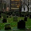 NYC Cemetery